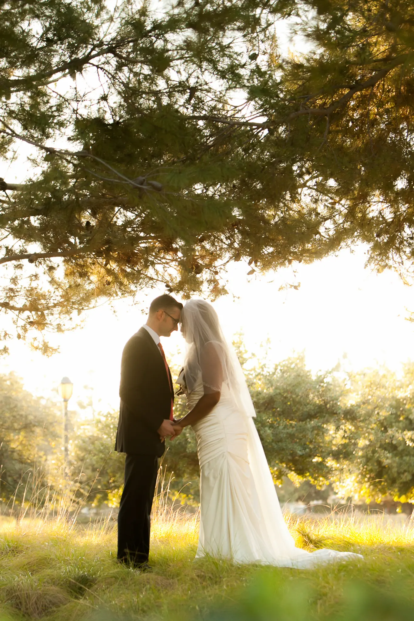 Wedding photographed in Melbourne